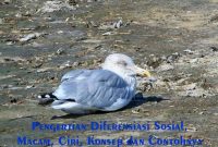 Pengertian Diferensiasi Sosial Diferensiasi Sosial Adalah